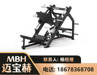 武威45°倒蹬训练器