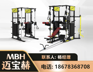 武威多功能综合训练器