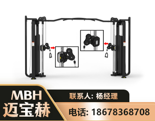 武威大飞鸟训练器