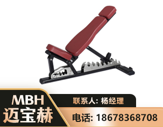 武威可调哑铃椅