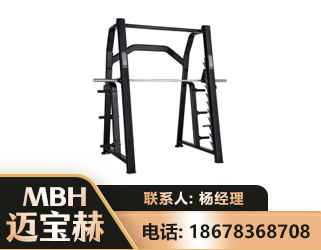 武威史密斯机